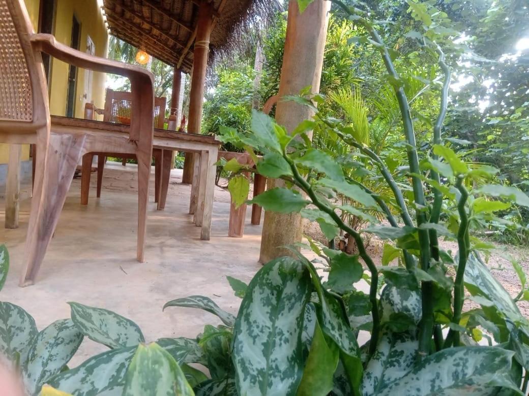 Kelaya At Hiriketiya Collection Hotel Zuid-Dikwella Buitenkant foto