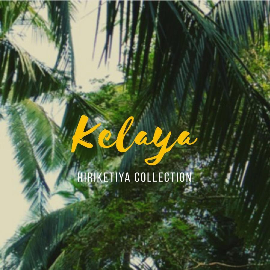 Kelaya At Hiriketiya Collection Hotel Zuid-Dikwella Buitenkant foto